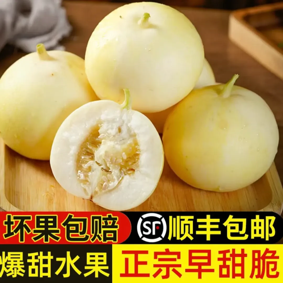 (顺丰包邮)山东头茬甜瓜早甜脆小蜜罐超大水果香甜产地新鲜直供