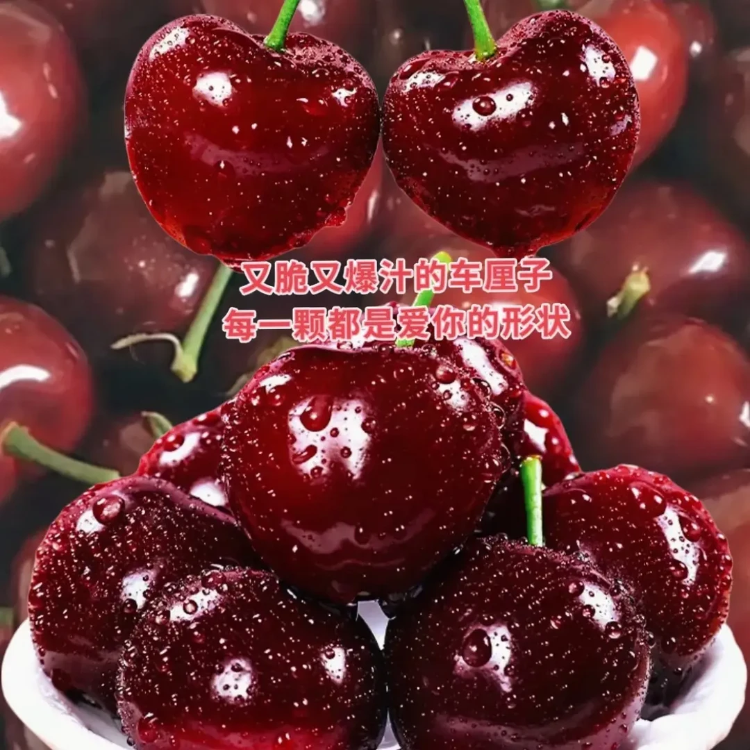 海运智利车厘子4JD新鲜孕妇水果内附果径卡顺丰包邮