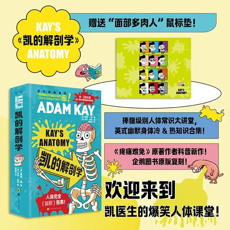 凯的解剖学 人体常识指南企鹅兰登图书原版复刻