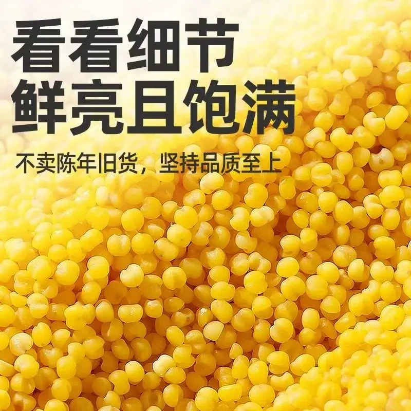 小米农家种植新小米煮粥黄金米