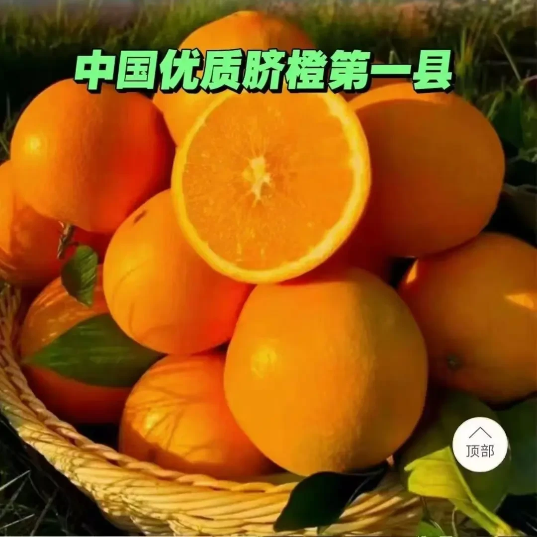 大凉山雷波脐橙果园直发新鲜水果产地直发皮薄肉厚鲜嫩多汁