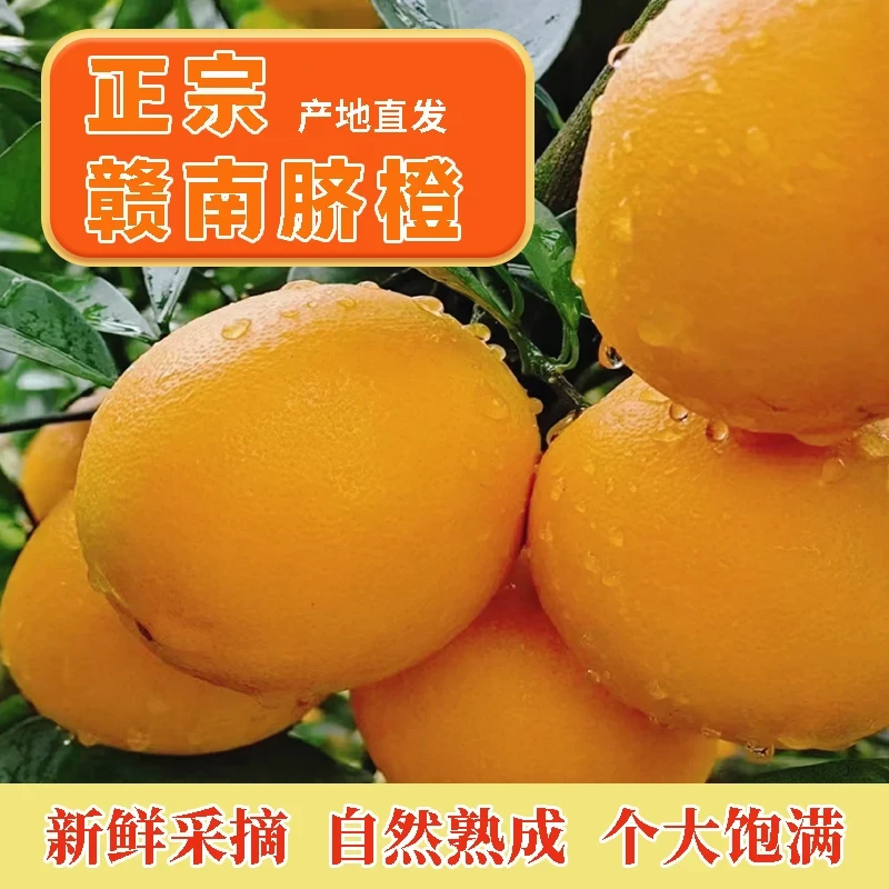 正宗江西赣南脐橙十斤新鲜当季水果赣州原产地现摘直发手剥橙甜橙