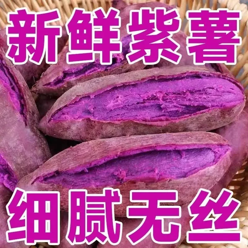 【2025现挖】新鲜沙地紫罗兰紫薯1-9斤粉糯甜紫心蜜薯红薯地瓜烟薯