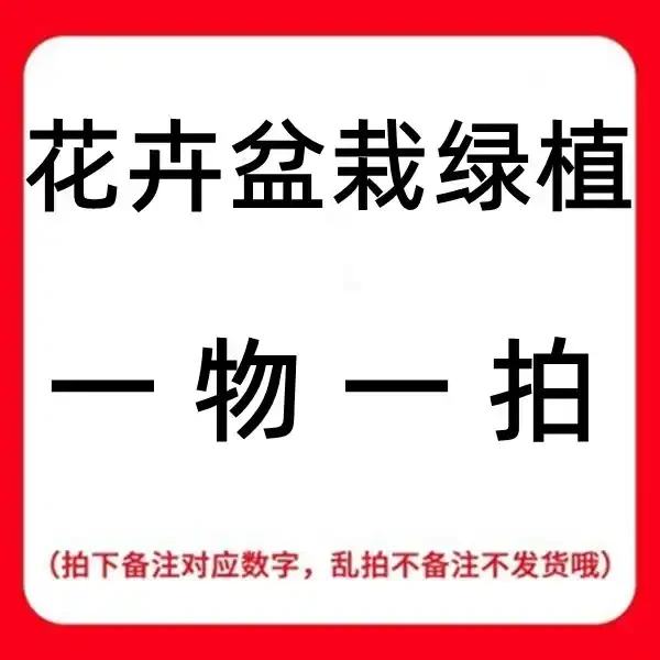 直播专用 一物一拍   对应价格拍下备注