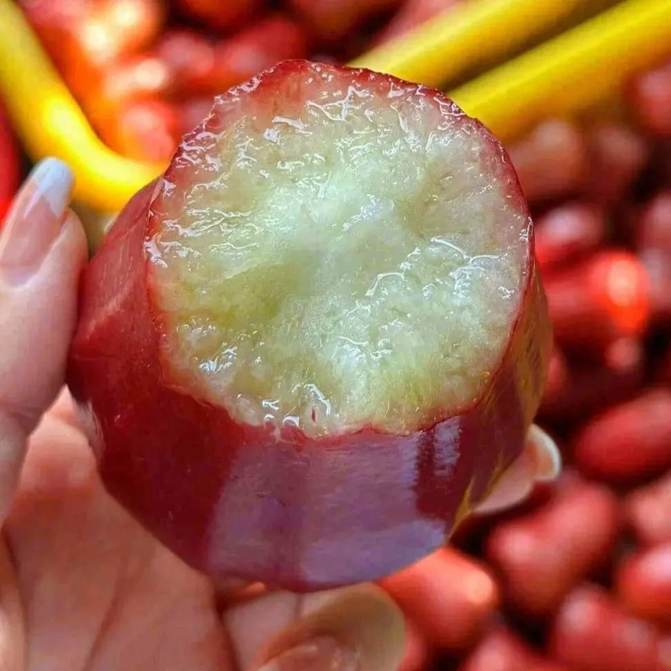 「补水神器」海南  大果  黑金刚莲雾