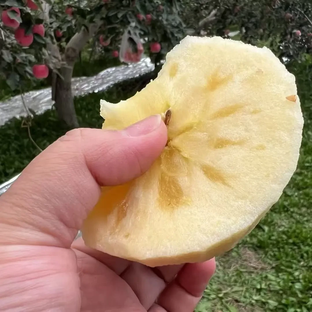 新疆阿克苏冰糖心苹果当季新鲜脆甜多汁水果