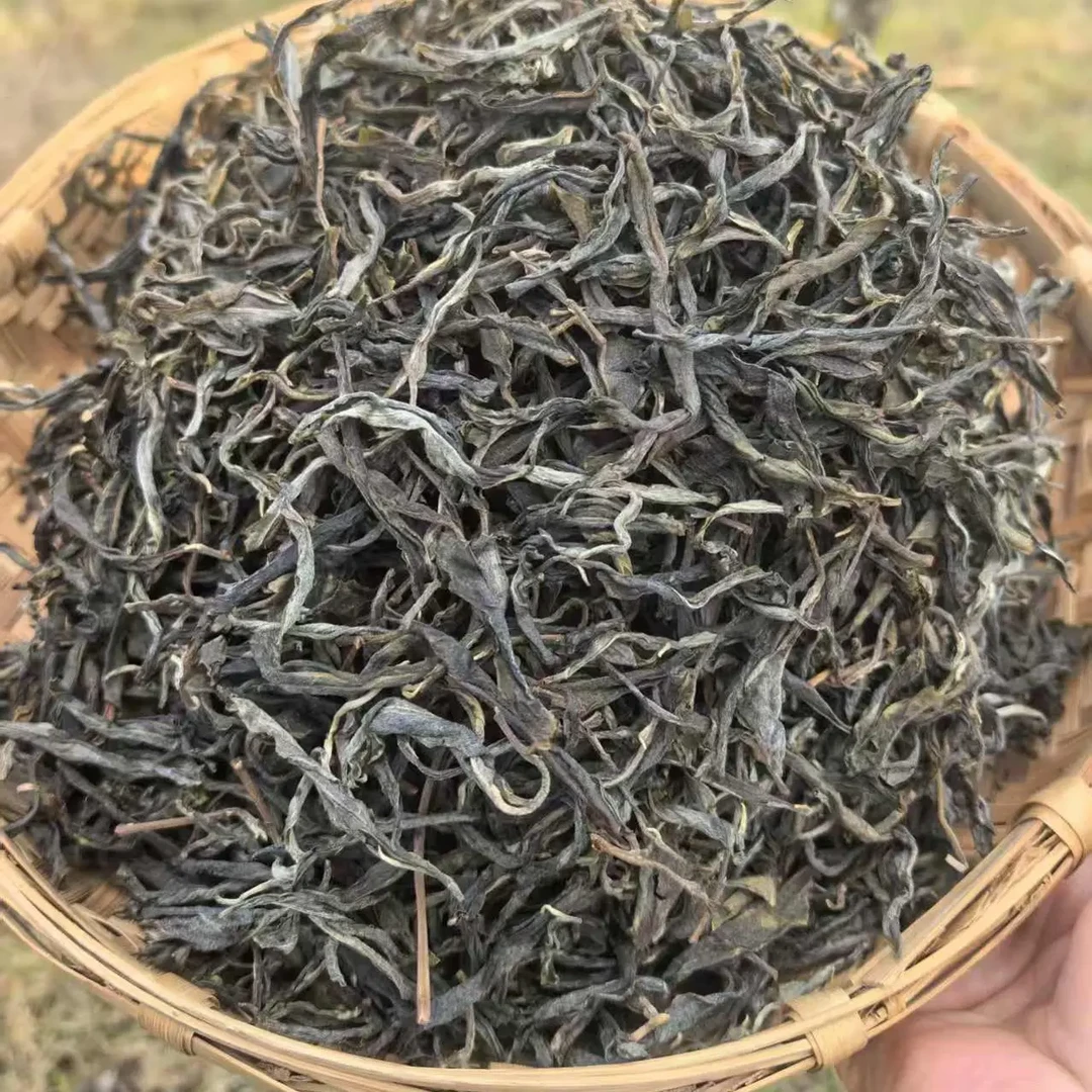 磨烈绿水塘古树 2025春 100g散料试喝装