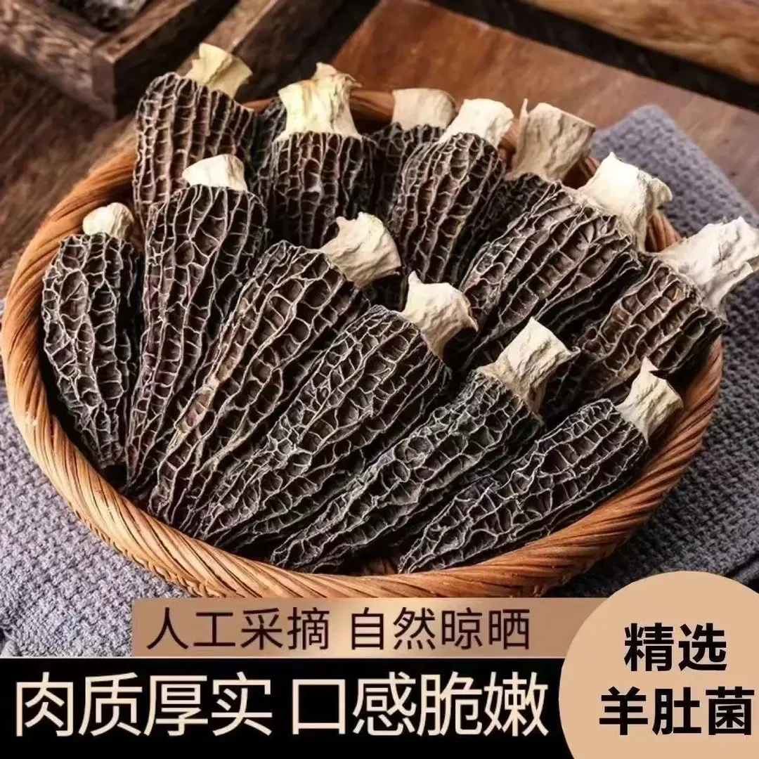 干羊肚菌-2025新货（精品-高品质）头茬羊肚菌-高山林地羊肚菌干