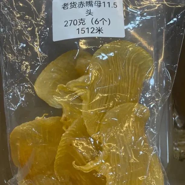 老货赤嘴母11.5头270g营养滋补海产干货佳品