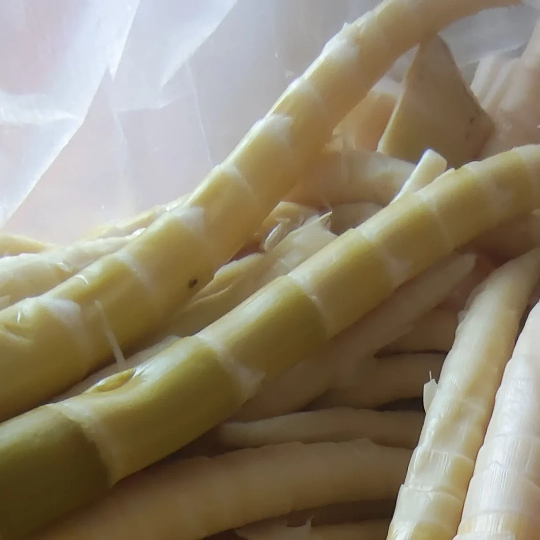 云南高山新鲜秋竹笋关火地特产山货食材