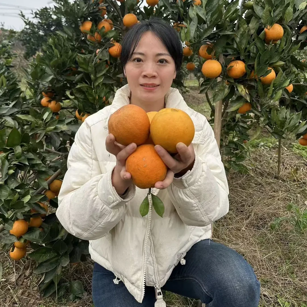 正宗四川罗脐 脐橙产地直发新鲜现摘应季甜橙子水果