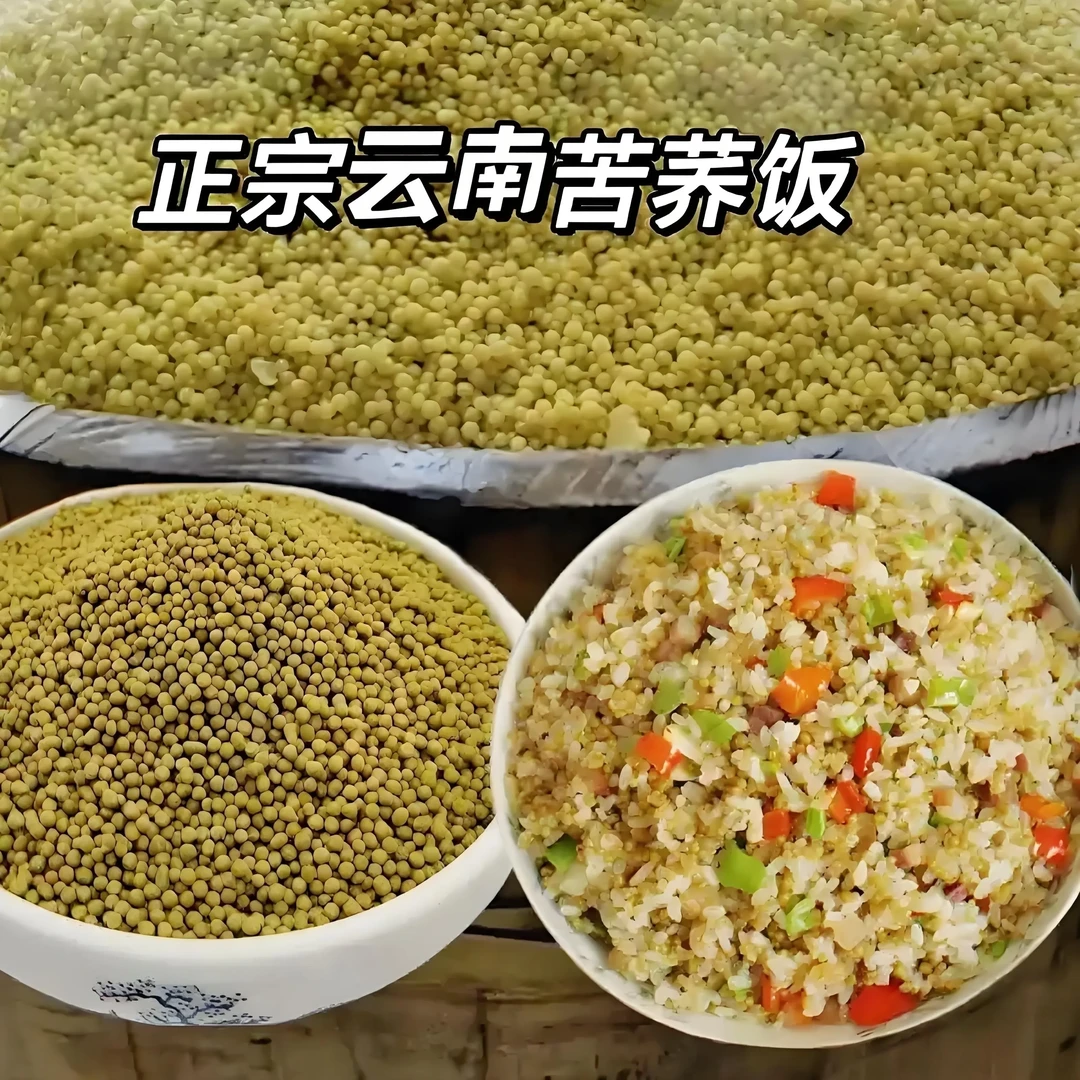 苦荞饭米颗粒香软细腻五谷粗粮特产