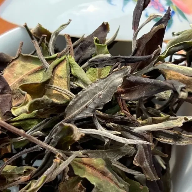 2026头春头采《景迈花香甜白茶》散茶/龙珠
