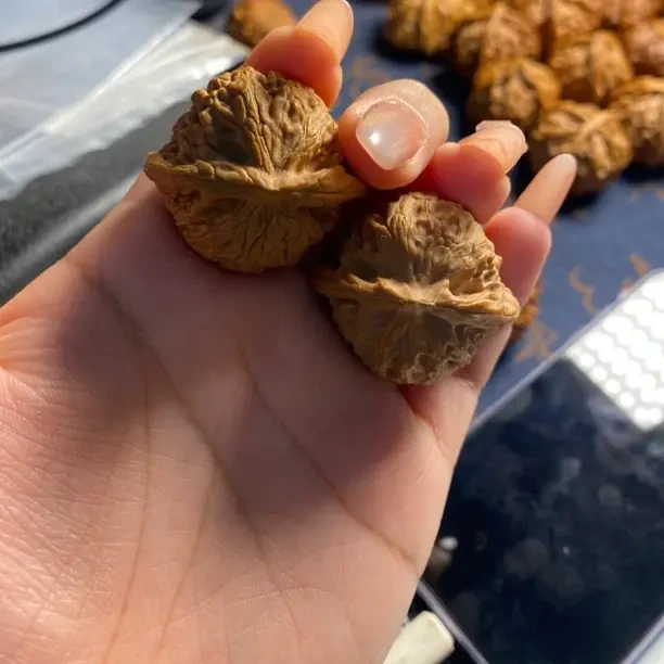 文玩四座楼狮子头麒麟纹官帽麻核桃手把件可盘玩