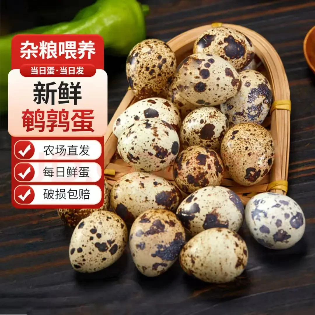 【现捡现发】鹌鹑蛋生鲜批发当日鹌鹑蛋新鲜生鹌鹑蛋现捡现发鹌鹑蛋