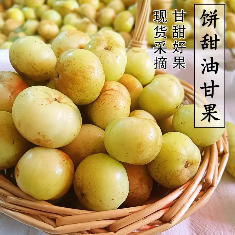 油甘饼甜油甘潮汕甜种油甘王生吃推荐油柑丙甜新鲜采摘油甘果回甘