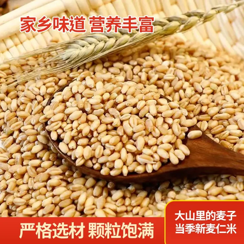 当季新麦仁米大山里的麦子去皮新小麦农家脱皮麦仁米杂粮脱壳