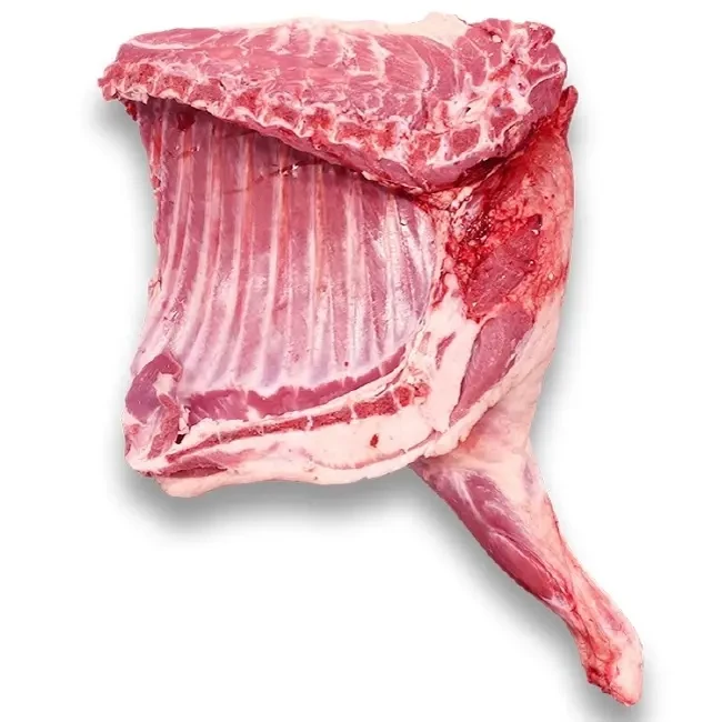 内蒙古羔羊前腿带排肉质细嫩5.6斤