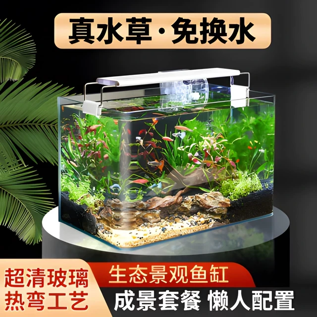 鱼缸客厅2025新款免换水自循环带氧气造景套热弯玻璃缸生态草缸新
