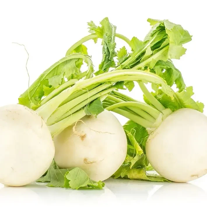 重庆高山农家圆萝卜汁多脆嫩甜孕妇餐绿色沙窝白萝卜新鲜蔬菜