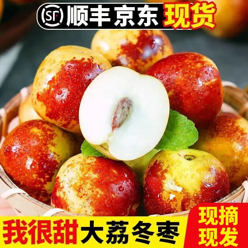 A3【顺丰/京东】陕西正宗大荔冰糖冬枣应季新鲜水果脆枣现摘现发
