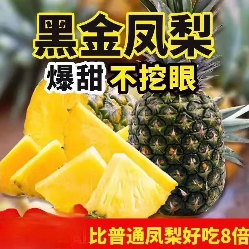 黑钻凤梨 云南版纳甜蜜蜜凤梨爆甜多汁无渣当季水果