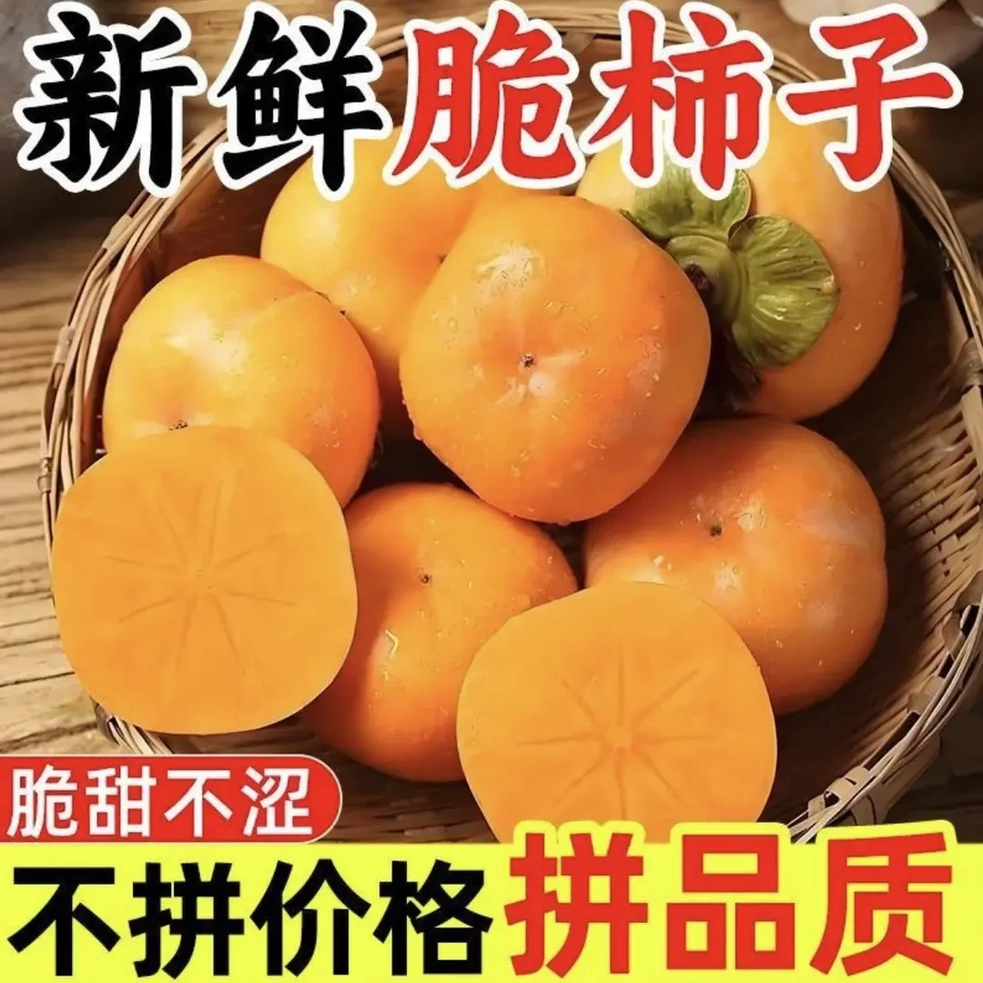 现摘头茬阳丰脆柿巧克力冰糖心柿子新鲜应季水果