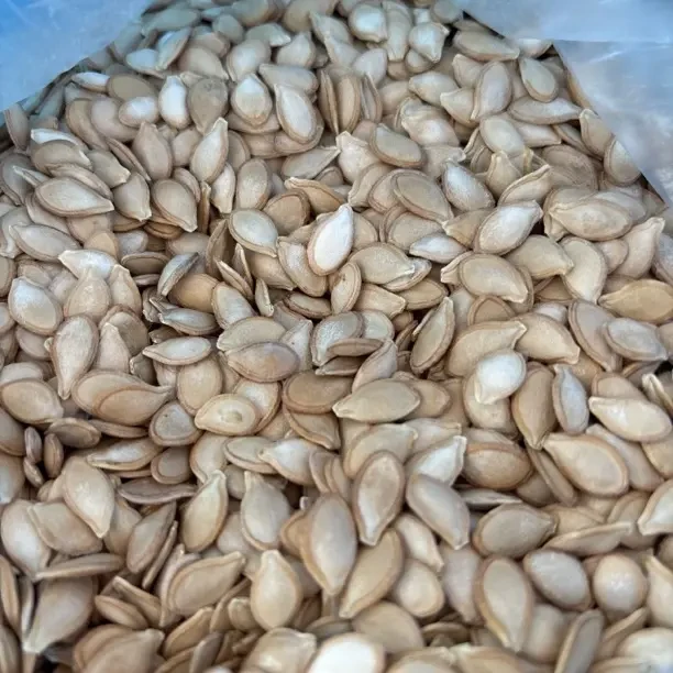 贵州产新鲜南瓜籽农家自种老品种自然晒干原味带壳毛边生南瓜子