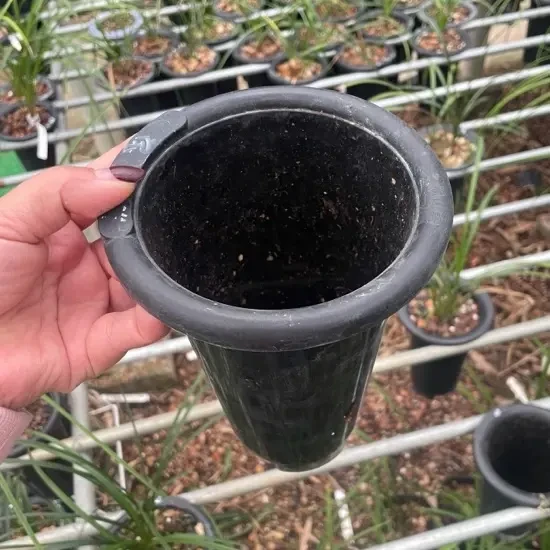 25个5寸14*20，旧兰花专用盆透气简约适合种植兰草