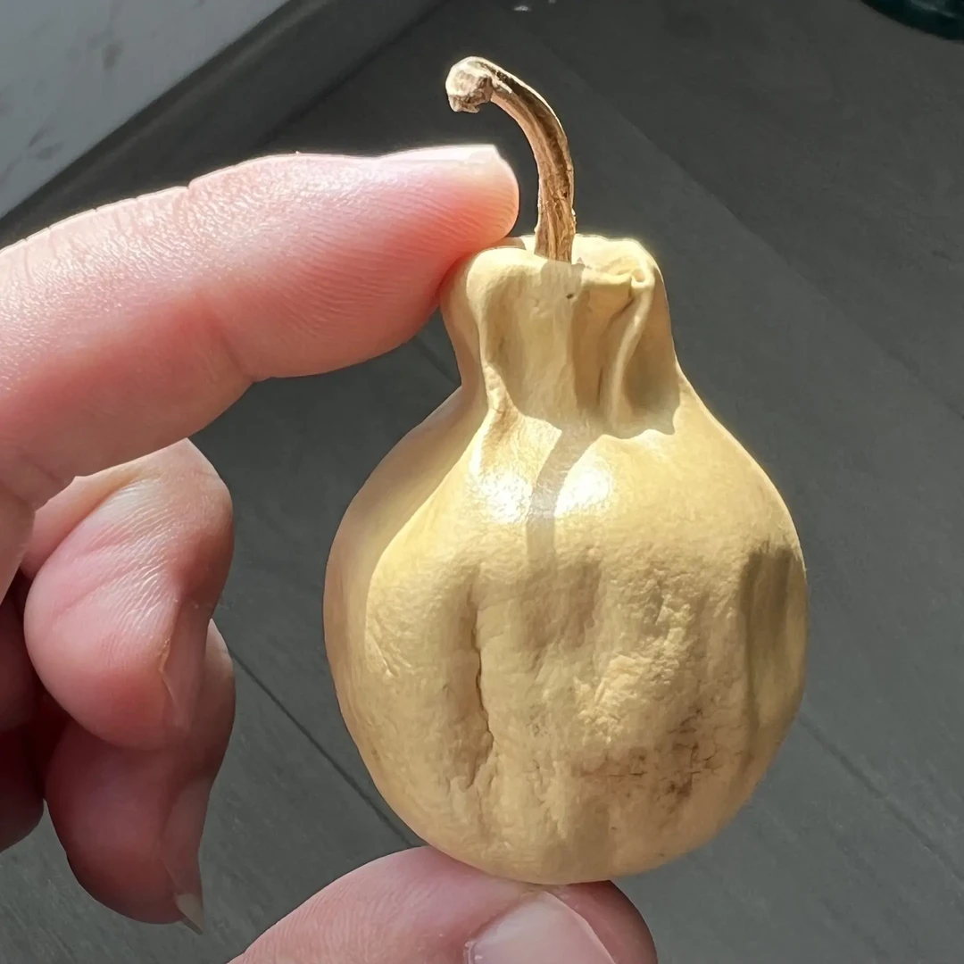 天然葫芦小抽抽葫芦，自然沧桑痕迹，慎重随机不挑喜欢拍一单一个