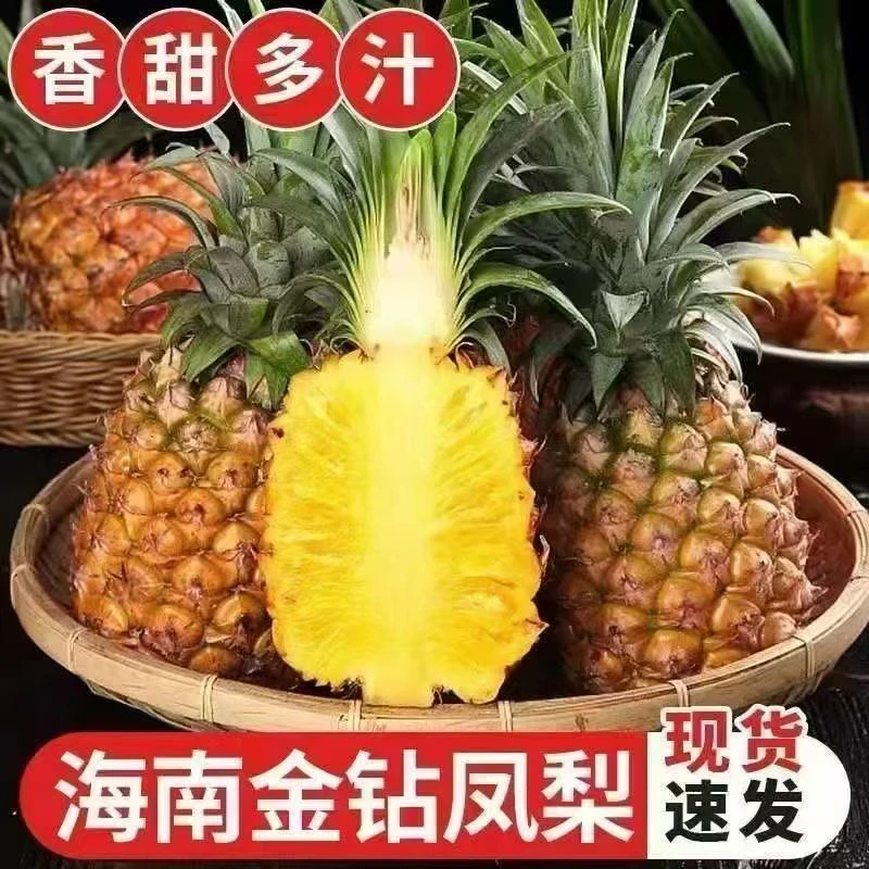 【只发新疆】正宗金钻凤梨多汁鲜甜新鲜孕妇水果应季菠萝手撕凤梨