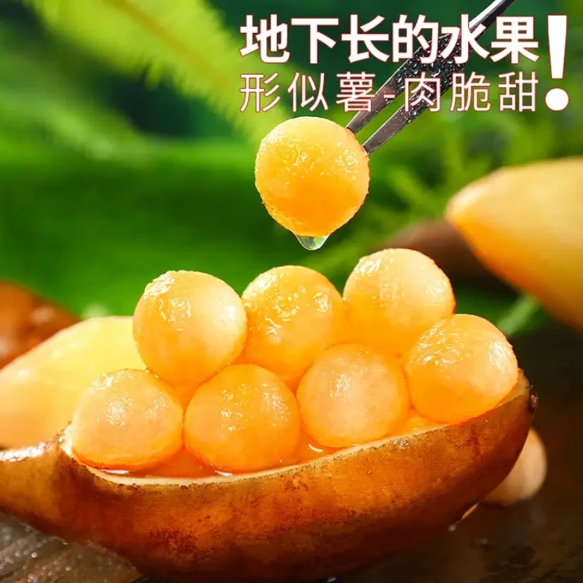 F01-【雪莲果种子】新鲜雪莲果种子天山雪莲果优质种子