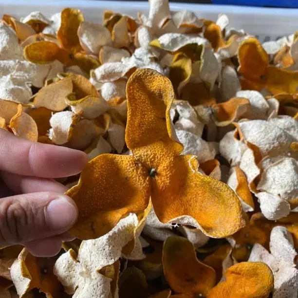 2025年礼乐驳枝大红