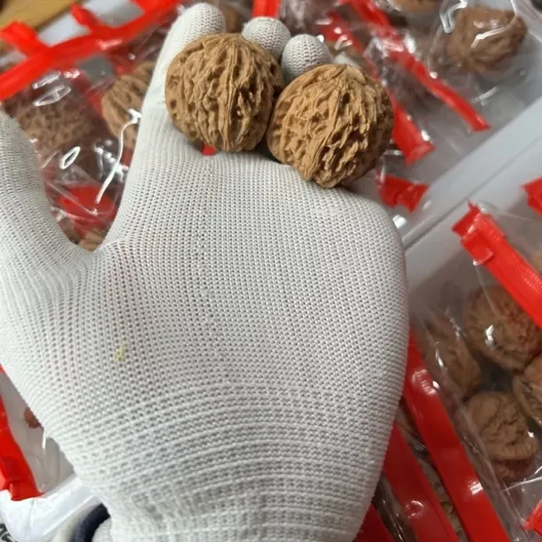 文玩核桃白狮子一物一拍