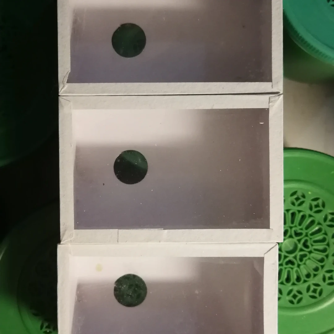 北京大徐鸣虫黑虫小白盒一个顺义