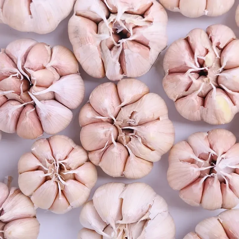 【新客福利】金乡紫白皮大蒜新干蒜子新鲜大蒜头优质干蒜批发便宜