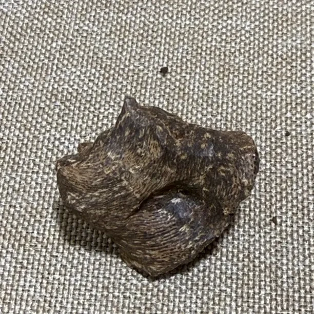 沉香沉香包头冒子香3克沉水浮，亲香带甜，香气迷人。