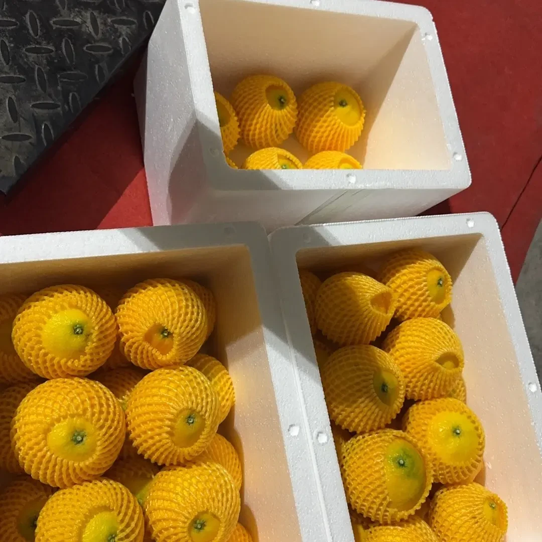 新鲜现摘薄皮爆汁香甜细腻无籽红美人果冻橙