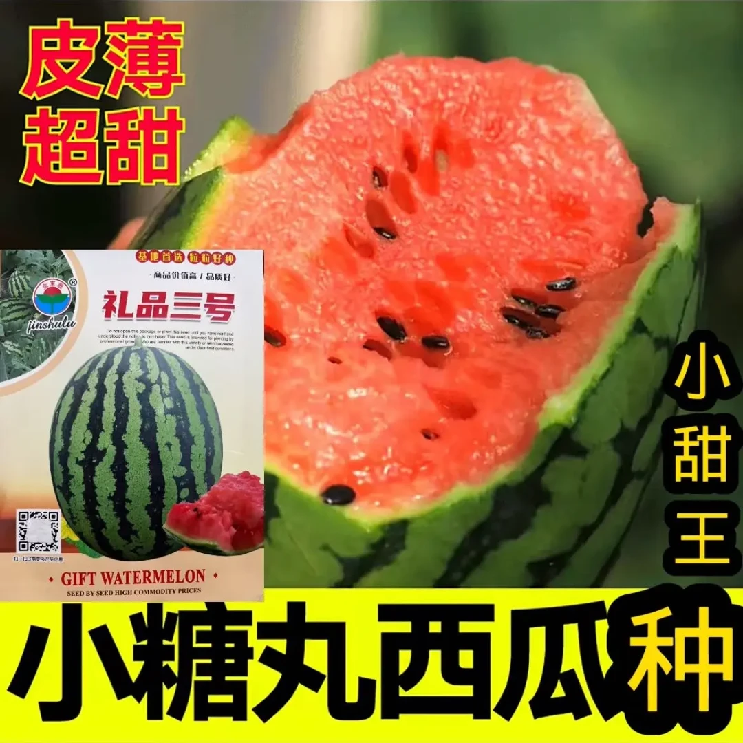 礼品三号西瓜种子早熟耐裂大红瓤高糖抗病薄皮南北方蔬菜水果种子