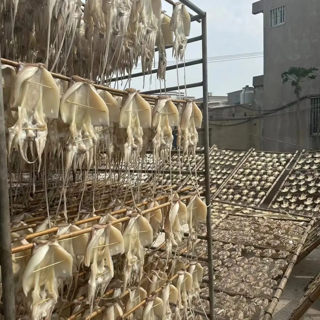 平潭本地吊晒淡干大墨鱼干天然无盐可炖汤的海味佳品