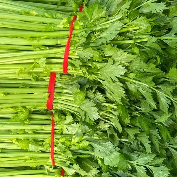 新鲜脆嫩多汁西芹可榨汁清炒生吃蔬菜