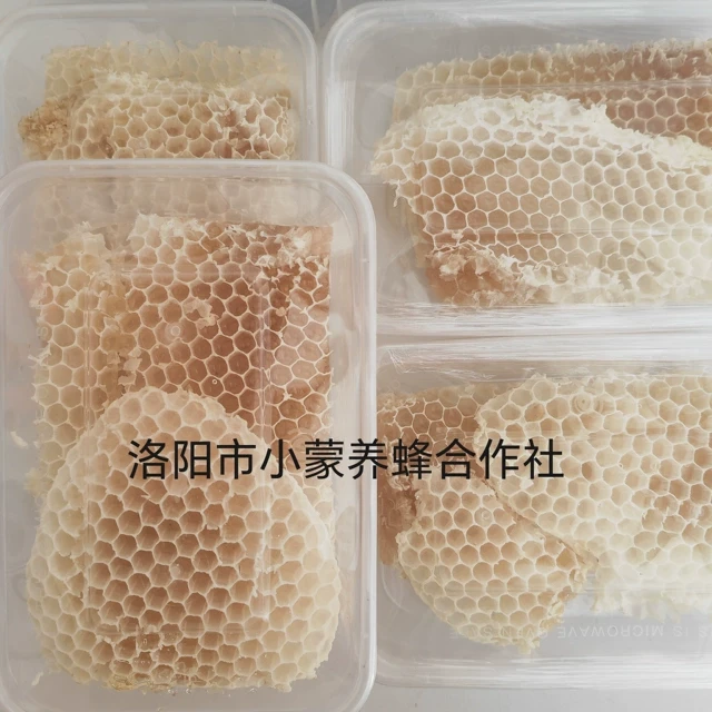 蜂巢脾自然半蜜巢蜜蜂窝不含剿础天然采割自然巢胚小蒙蜂场