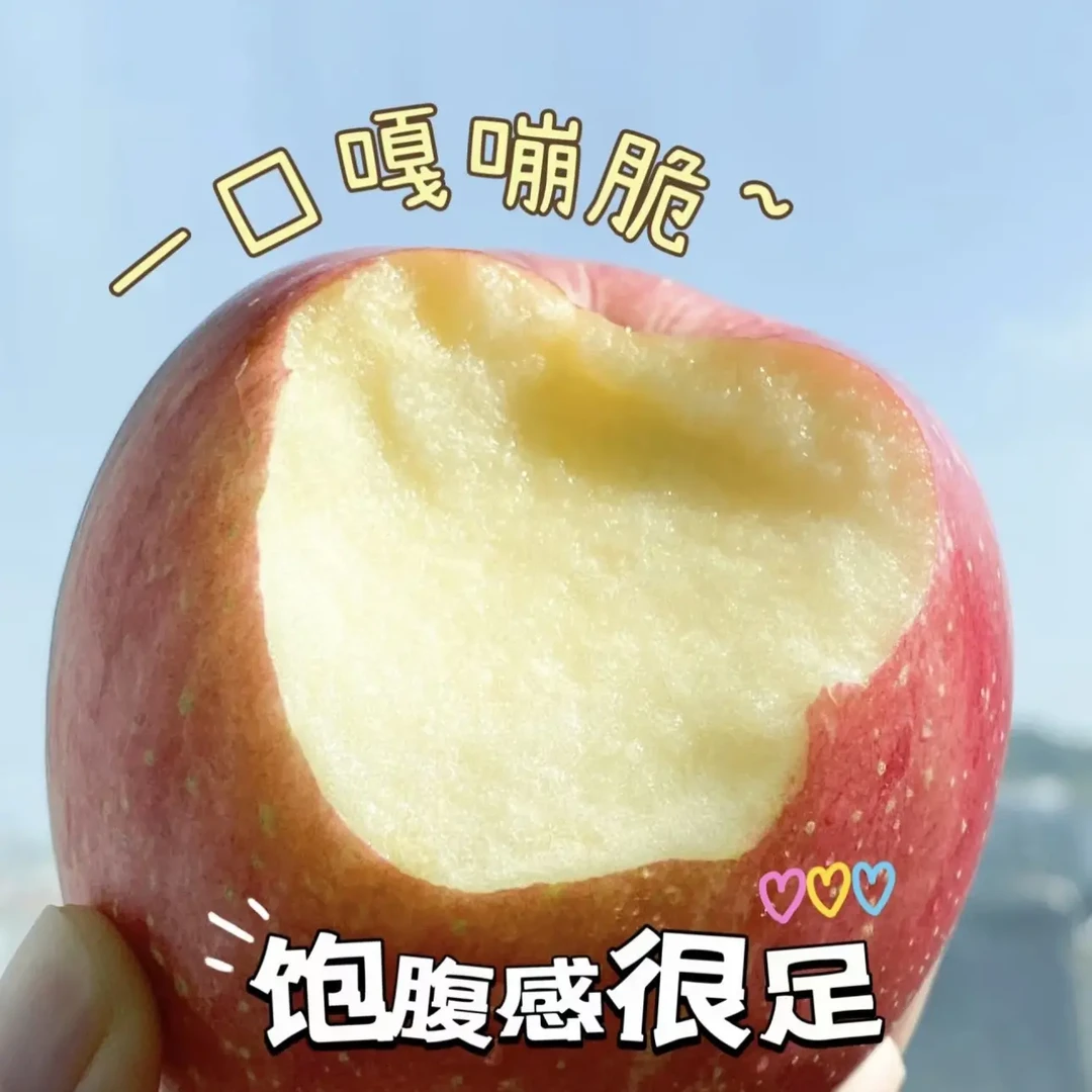 庄浪红富士苹果新鲜现摘应季水果脆甜多汁（一箱）