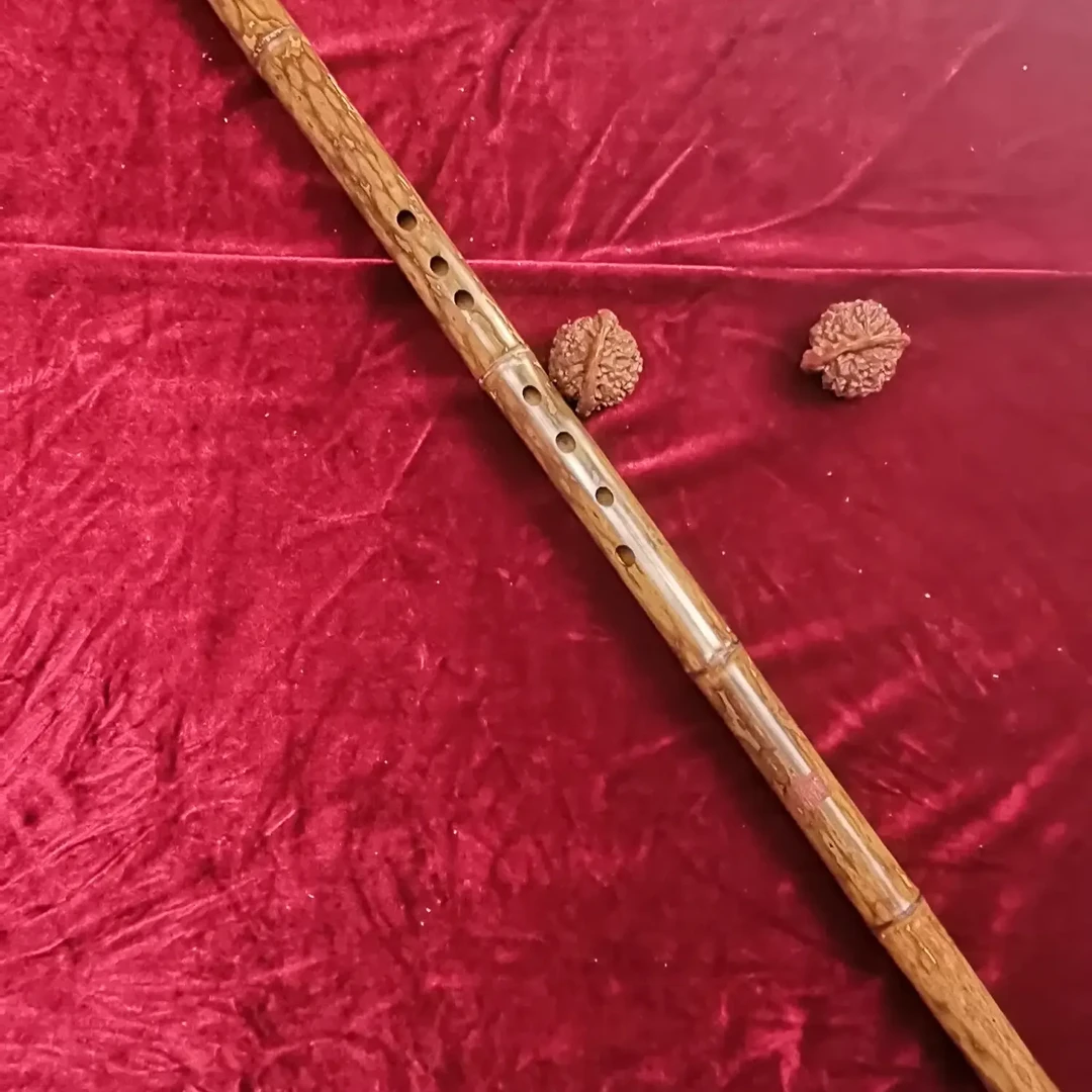 斑竹G调洞箫大漆八孔正手音准音色佳