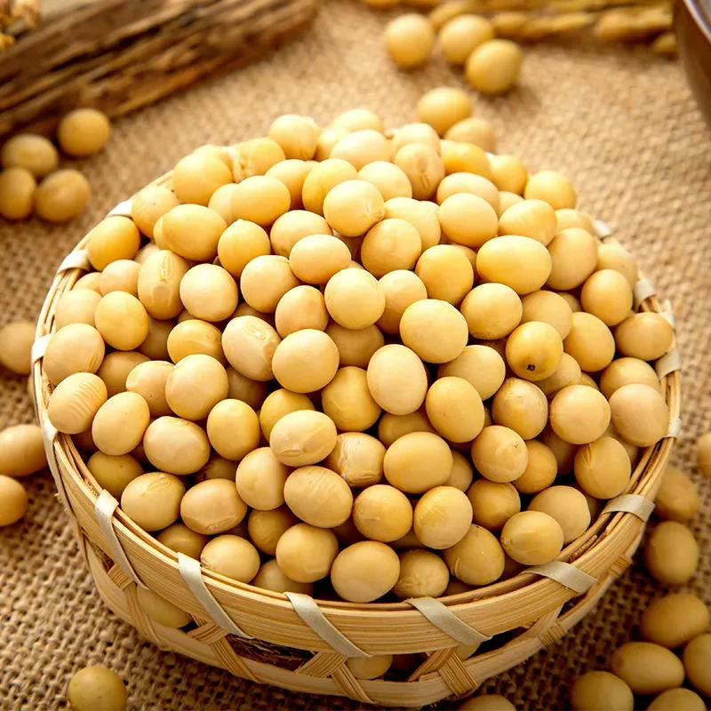 【3斤装】农村黄豆蔬菜山货土货农产品EM