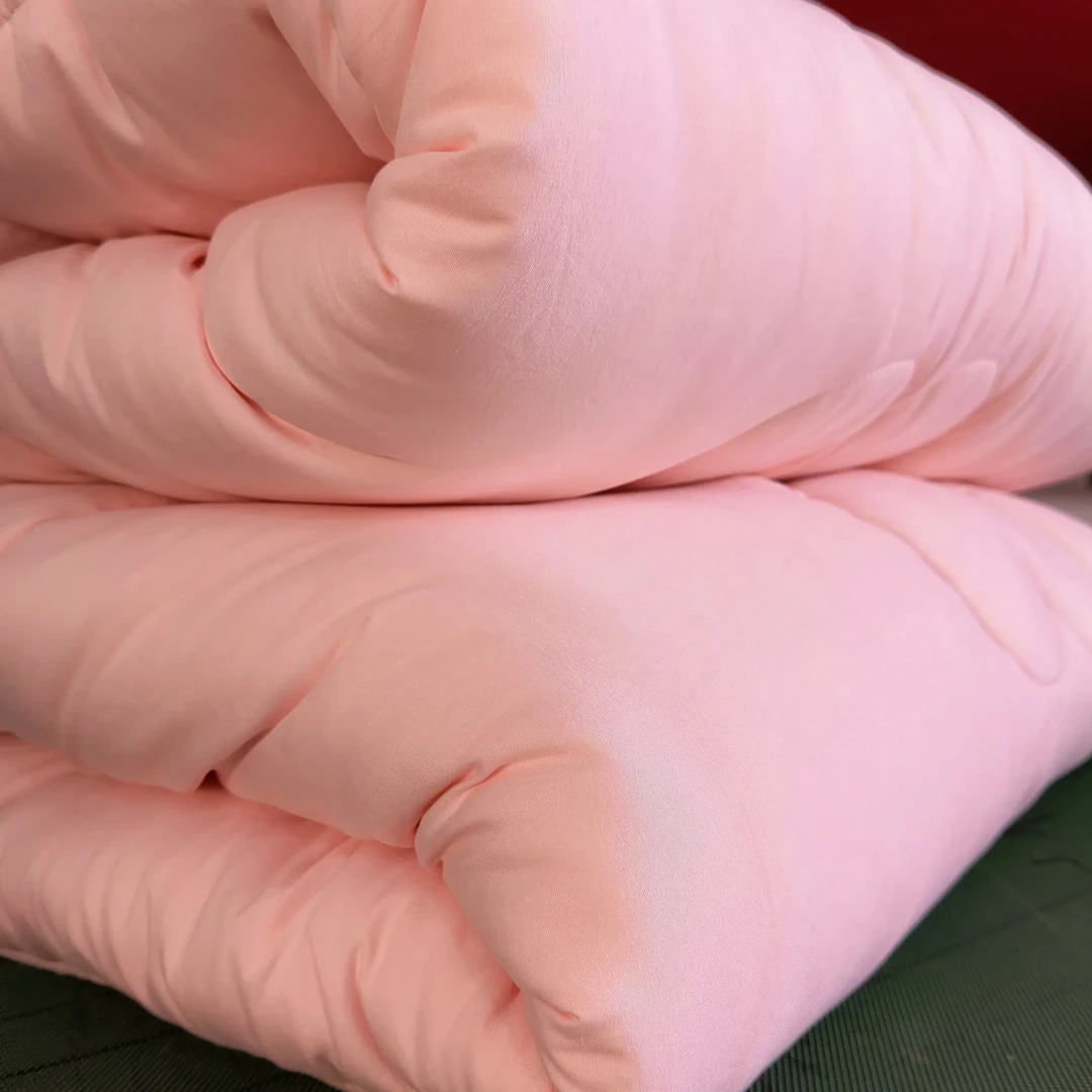 加厚保暖棉花冬被单双人春秋通用学生宿舍适用