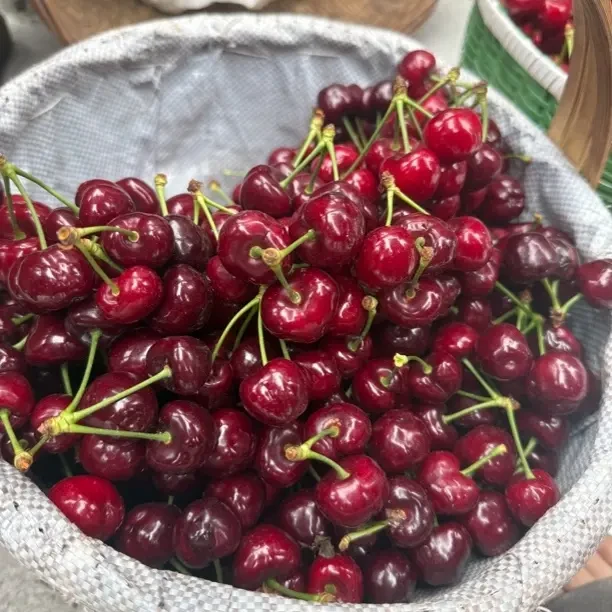 汉源车厘子大樱桃现采现摘顺丰冷链空运（川渝收货地址买）