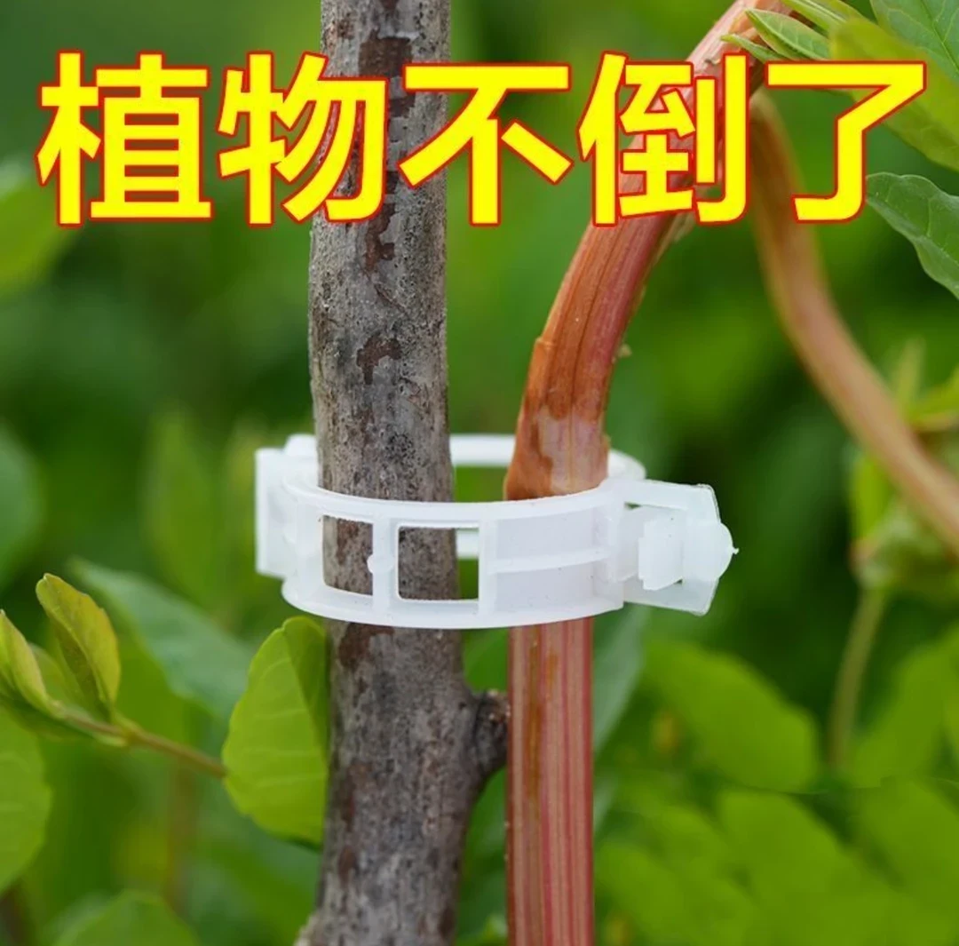 【直销100个】果树绿植固定卡扣捆扎绑蔓夹番茄环扣吊放器