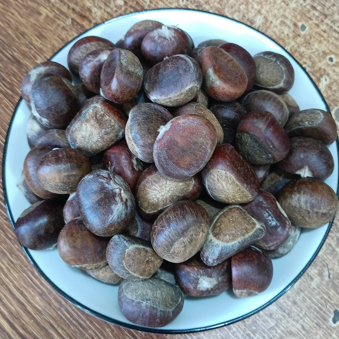 新鲜现摘高山磨栗子