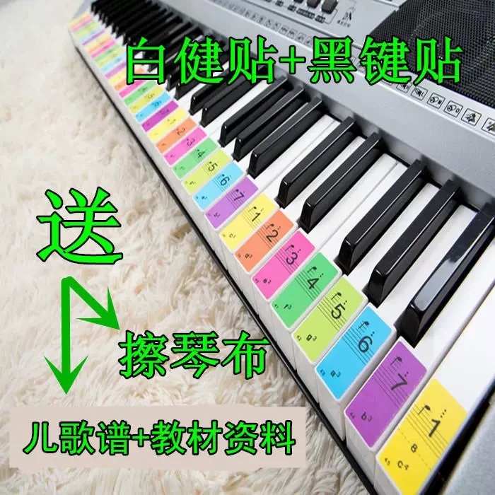 电子琴键盘彩色贴纸 54键 61键 彩色贴纸 五线谱简谱键位贴208